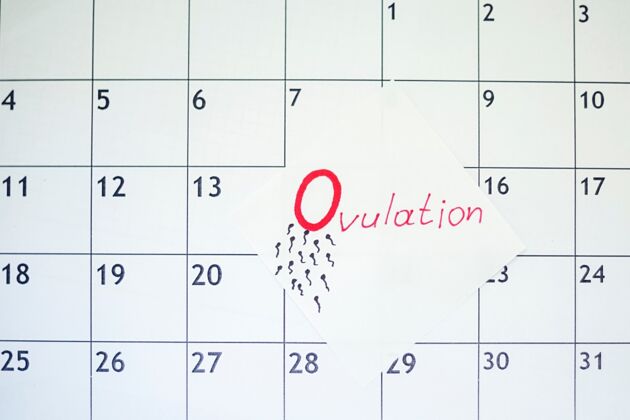 Tracking ovulation