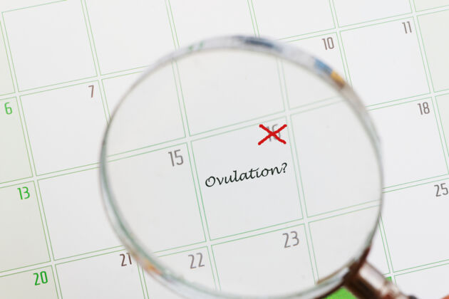 Checking ovulation day Checking ovulation day