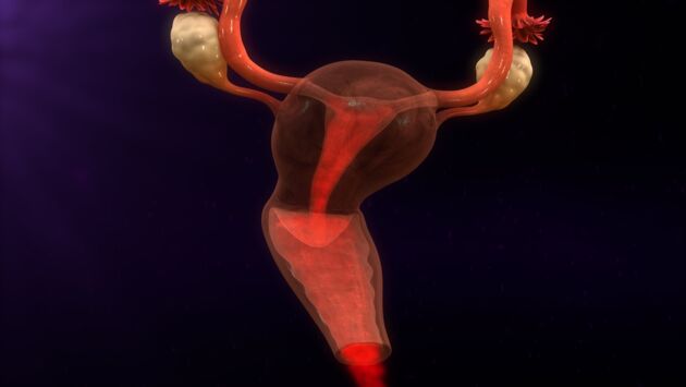 causes for bleeding after vaginal delivery causes for bleeding after vaginal delivery