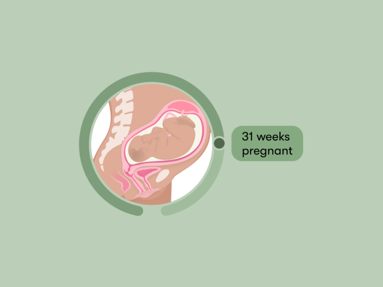 31 weeks pregnant: Your guide to this week of your third trimester
