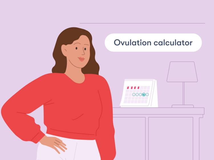 Ovulation calculator: Figure out your most fertile days