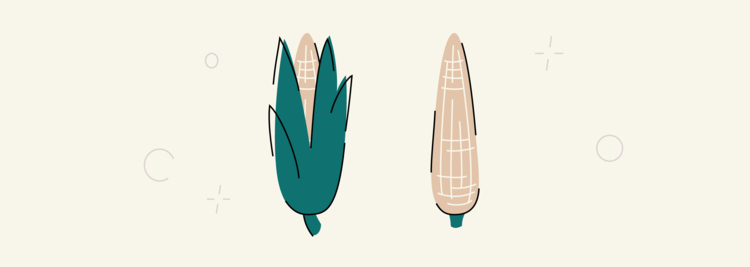 Сircumcised vs. Uncircumcised: Everything You Want to Know