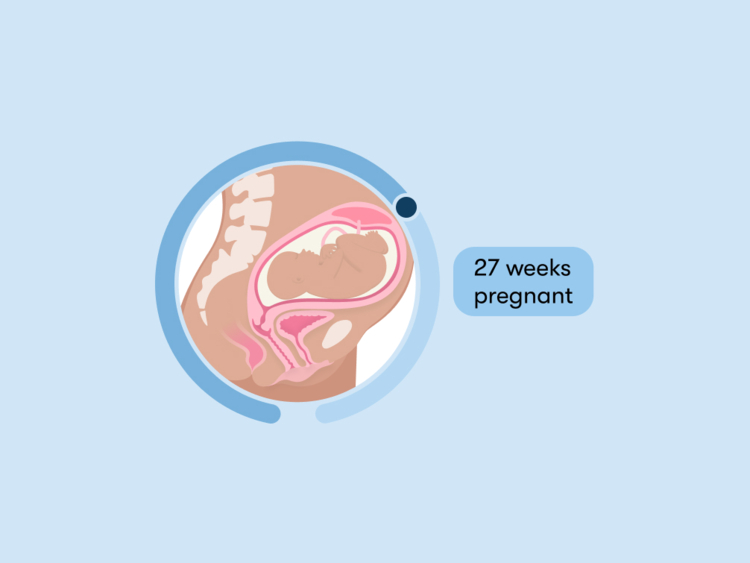 27 weeks pregnant: Your guide to this week of your second trimester