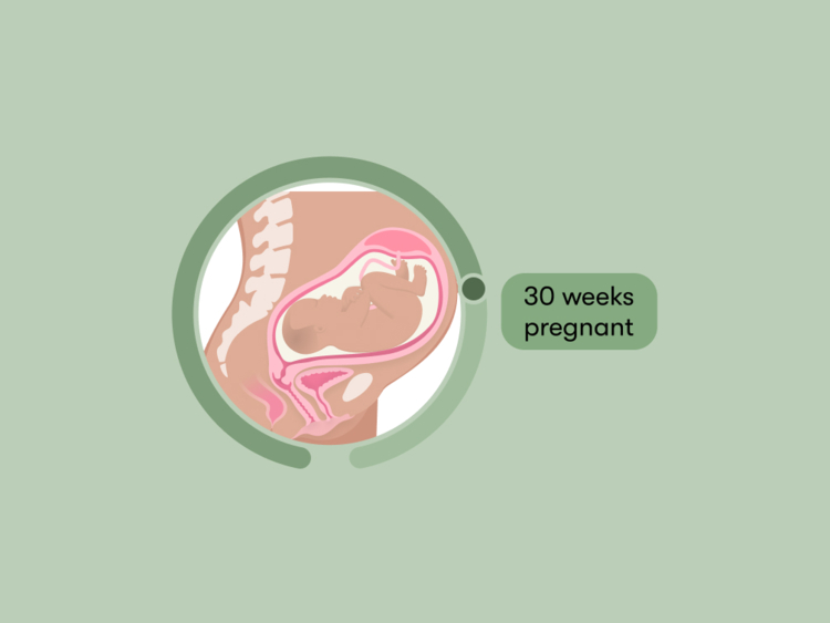 30 weeks pregnant: Your guide to this week of your third trimester