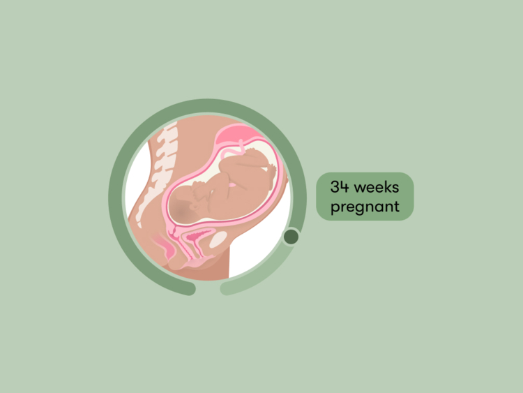 34 weeks pregnant: Your guide to this week of your third trimester