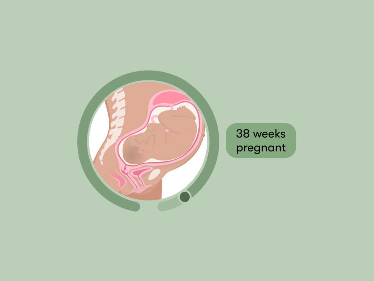 38 weeks pregnant: Your guide to this week of your third trimester