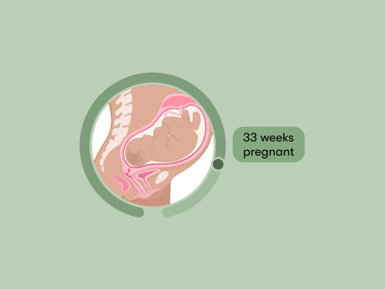 33 weeks pregnant: Your guide to this week of your third trimester
