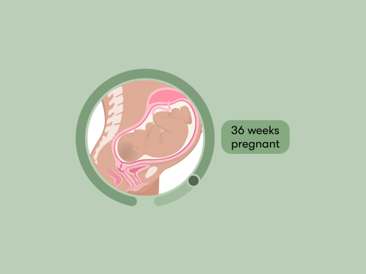 36+4 weeks pregnant, light brown discharge!