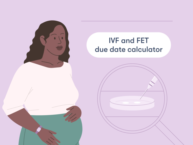 IVF and FET due date calculator