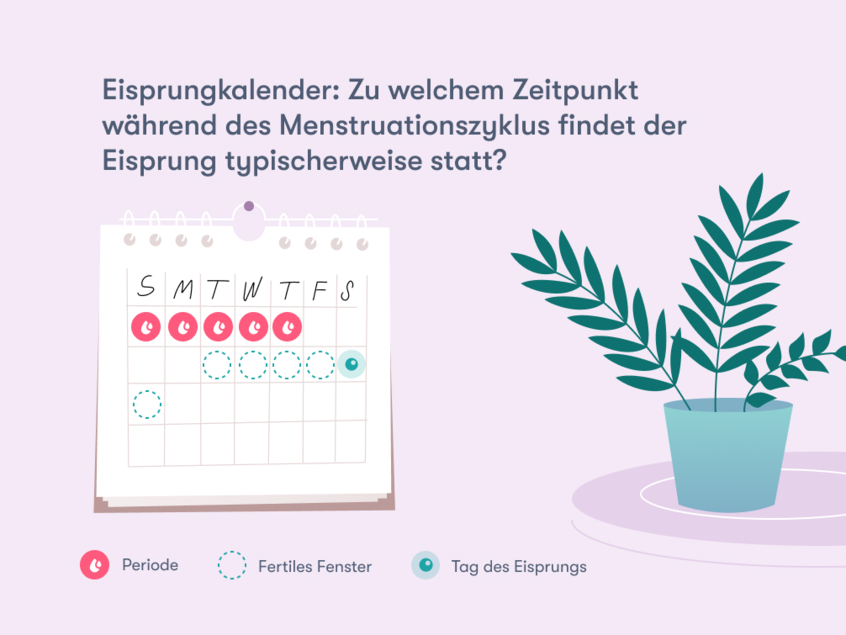 Eisprungrechner – Flo Health