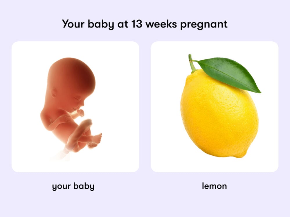 At 13 weeks, your baby is like a lemon. At week 13 of pregnancy, the baby is around 6.7cm long, equivalent to the size of a lemon